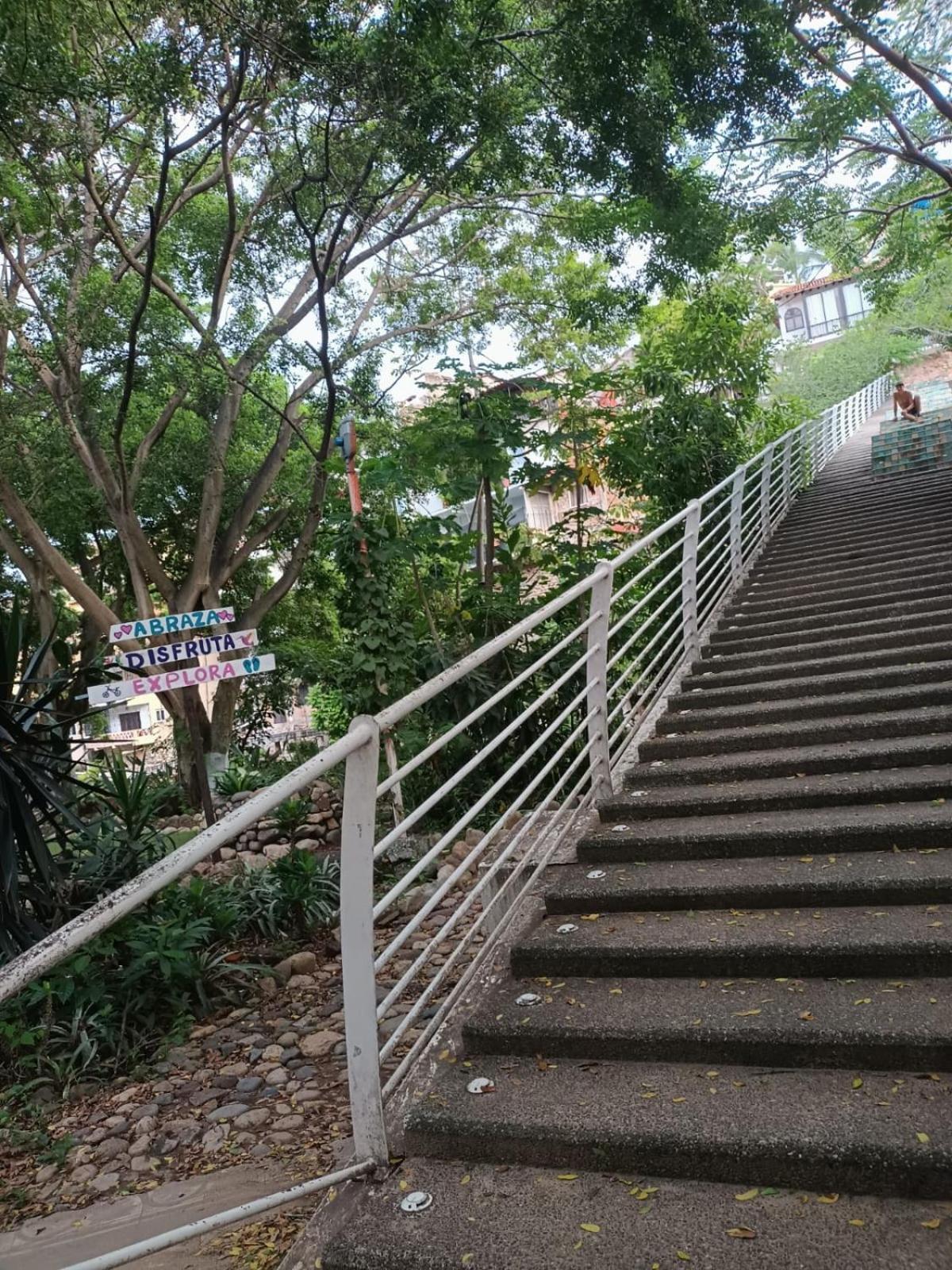 Hotel Ana Liz Puerto Vallarta Luaran gambar